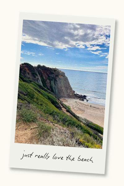 Cliffs by a beach with the ocean in view. A Polaroid frame surrounds the photo, and text on the frame reads "just really love the beach."